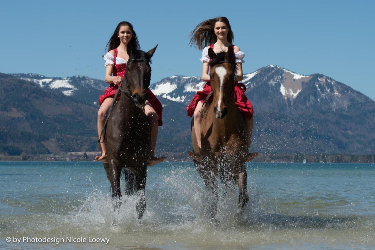 Gutshof Wolfgangsee Resort & Event Hotel Штробль Экстерьер фото